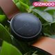 It’s a pretty watch, but pretty isn’t everything.